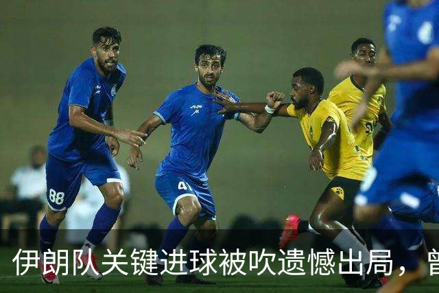 伊朗队关键进球被吹遗憾出局，曾任教哈佛大学的伊朗学者向FIFA索赔10亿美元